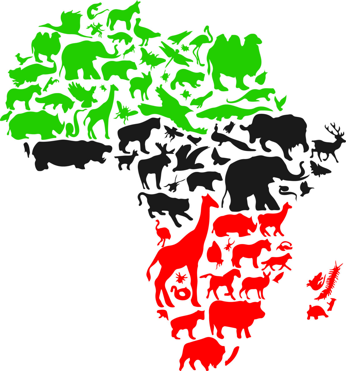 Africa animals color Svg